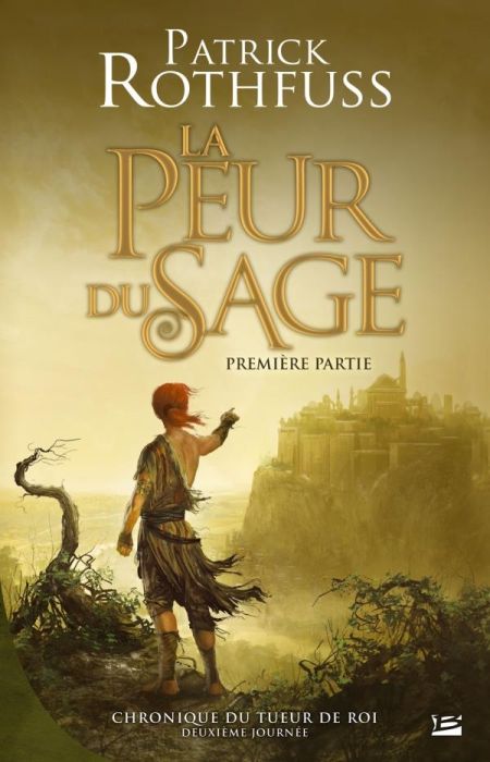 Emprunter Chronique du tueur de roi Tome 2 : Deuxième journée. La peur du sage : première partie, 2e édition livre