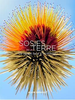 Emprunter Sosies de la terre livre