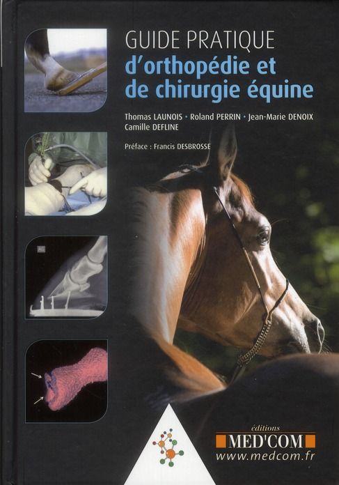 Emprunter Guide pratique d'orthopédie et de chirurgie équine livre