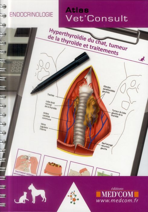 Emprunter Atlas Vet'Consult endocrinologie livre