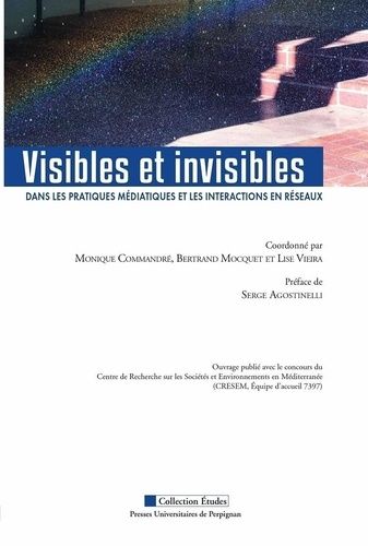 Emprunter Visibles et invisibles dans les pratiques médiatiques et les interactions en réseaux livre