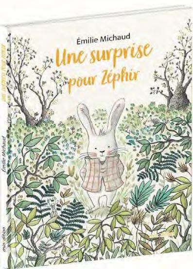 Emprunter Une surprise pour Zéphir. livre