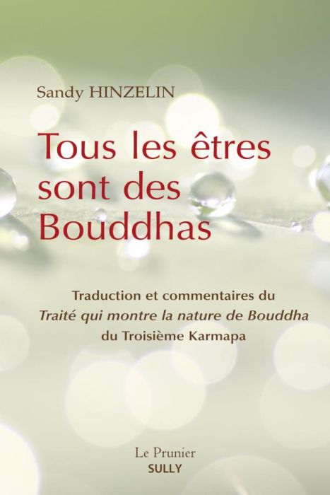 Emprunter Tous les êtres sont des Bouddhas. Traité qui montre la nature de Bouddha du 3e Karmapa livre