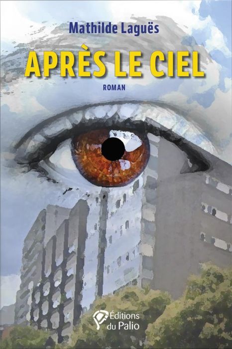 Emprunter Après le ciel livre