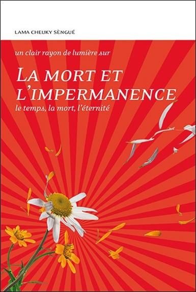 Emprunter Un clair rayon de lumière sur la mort et l'impermanence / Le temps, la mort, l'éternité livre