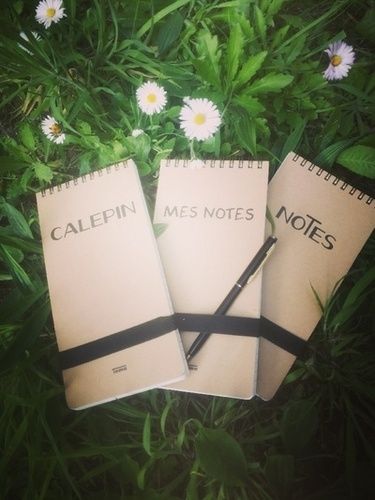 Emprunter Mes notes kraft livre