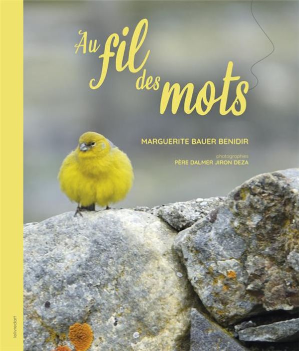 Emprunter Au fil des mots livre