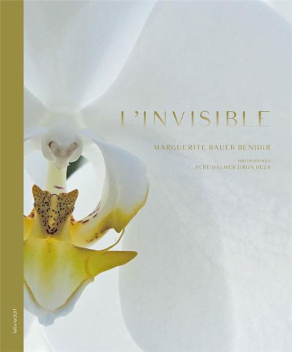 Emprunter L'invisible livre