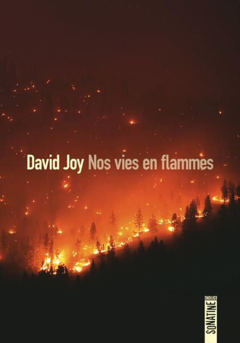 Emprunter Nos vies en flammes livre