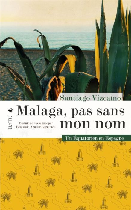 Emprunter Malaga, pas sans mon nom. Un équatorien en Espagne livre