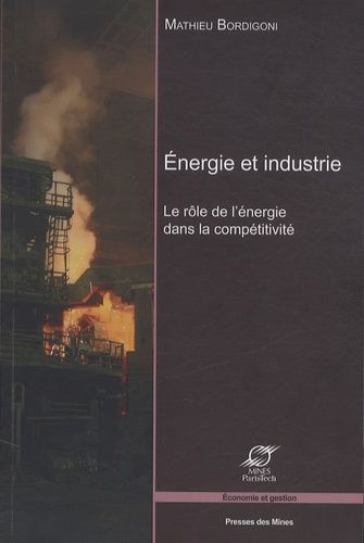 Emprunter Energie et industrie. Le rôle de l'énergie dans la compétitivité livre