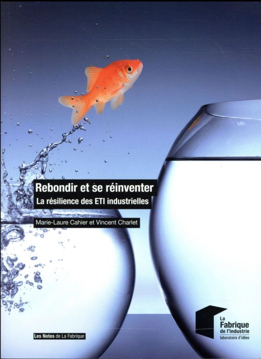 Emprunter Rebondir et se réinventer. La résilience des ETI industrielles livre