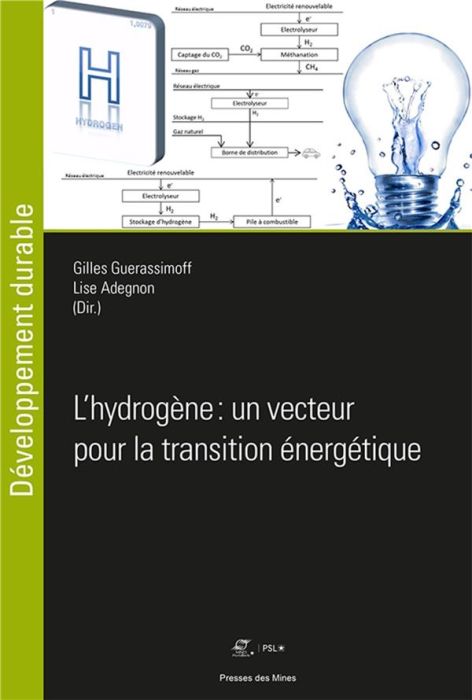 Emprunter L'hydrogène : un vecteur pour la transition énergétique livre