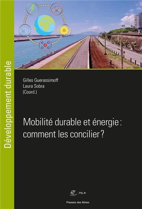 Emprunter Mobilité durable et énergie : comment les concilier ? livre