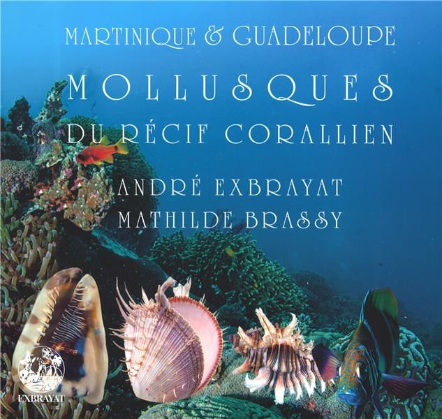 Emprunter Mollusques du récif corallien livre