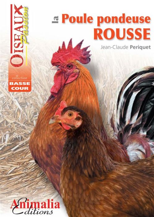 Emprunter La poule pondeuse rousse livre