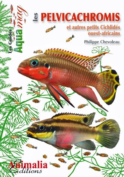 Emprunter Les pelvicachromis et autres petits cichlides ouest-africains livre