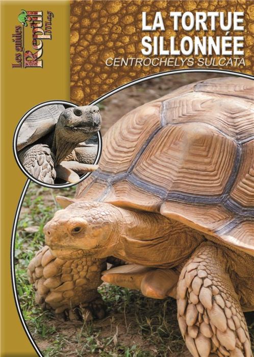 Emprunter La tortue sillonnée. Centrochelys sulcata livre