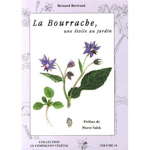 Emprunter La bourrache, une étoile au jardin ! livre