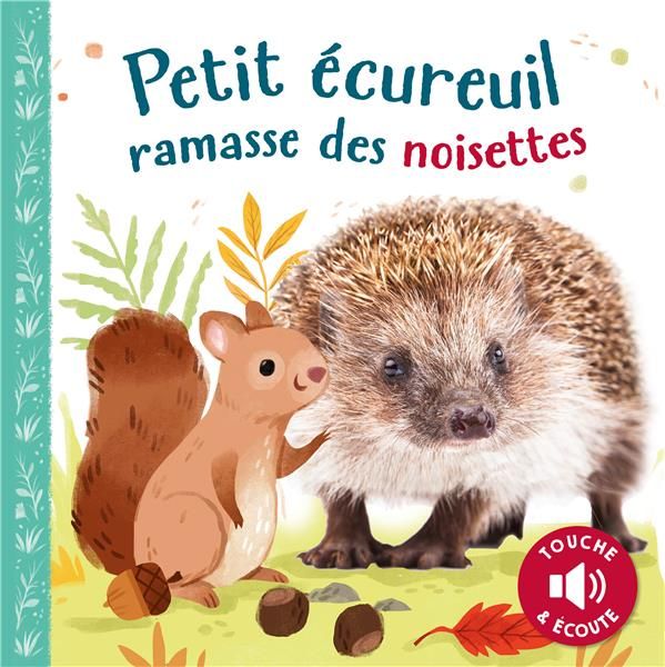 Emprunter Petit écureuil ramasse des noisettes livre