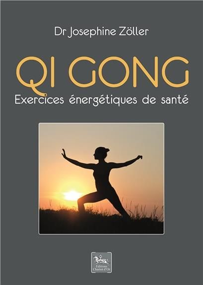 Emprunter Qi gong. Exercices énergétiques de santé livre