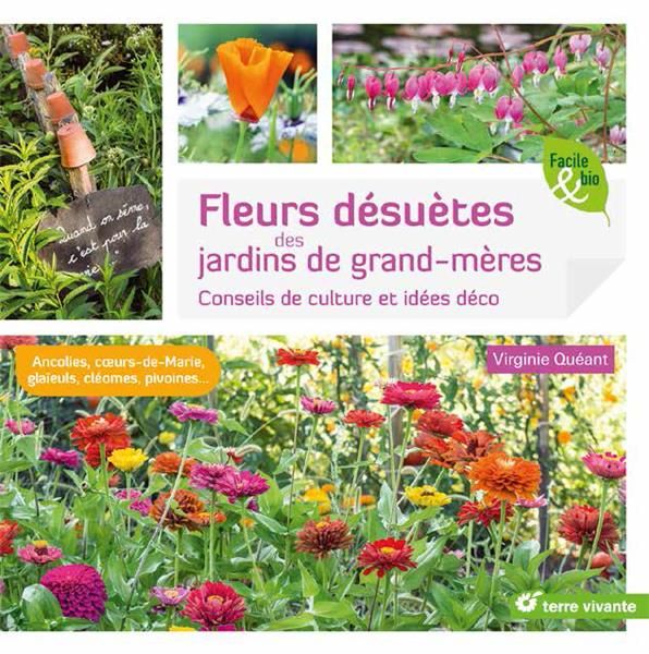 Emprunter Fleurs désuètes des jardins de grand-mères. Conseils de culture et idées déco livre