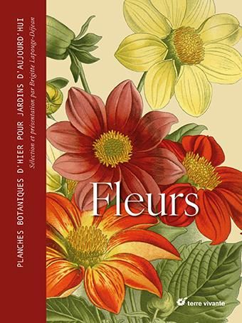 Emprunter Fleurs. Planches botaniques d'hier pour jardins d'aujourd'hui livre