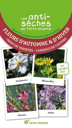 Emprunter Les antisèches de Terre vivante : Fleurs d'automne et d'hiver. Choix de variétés – Conseils de cultu livre