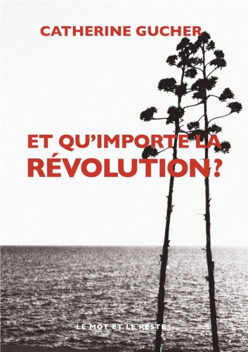 Emprunter ET QU'IMPORTE LA REVOLUTION ? livre