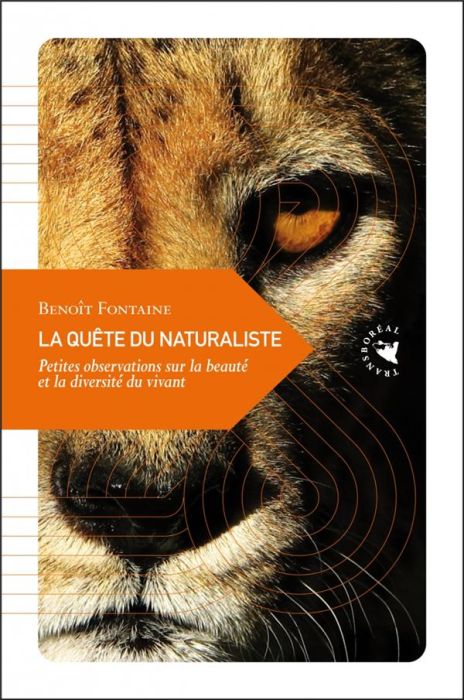 Emprunter La Quête du naturaliste - Petites observations sur la beauté. Petites observations sur la beauté et livre