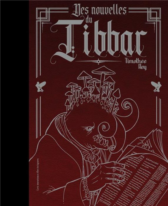 Emprunter Des nouvelles du Tibbar livre