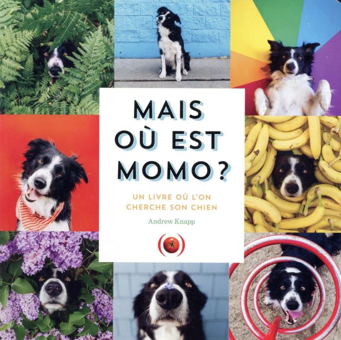 Emprunter Mais où est Momo ? Un livre où l'on cherche son chien livre