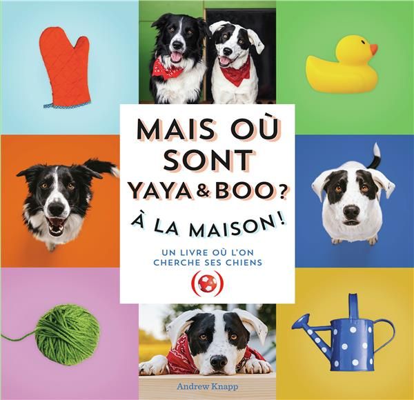 Emprunter Mais où sont Yaya et Boo ? A la maison ! livre