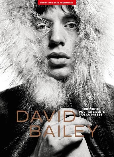 Emprunter 100 photos de David Bailey pour la liberté de la presse livre