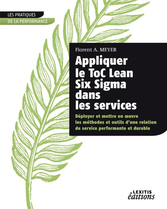 Emprunter Appliquer le ToC Lean Six Sigma dans les services. Déployer et mettre en oeuvre les méthodes et outi livre