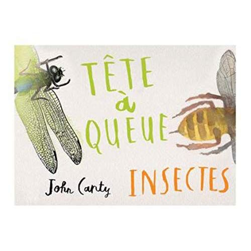 Emprunter Tête à queue. Insectes livre