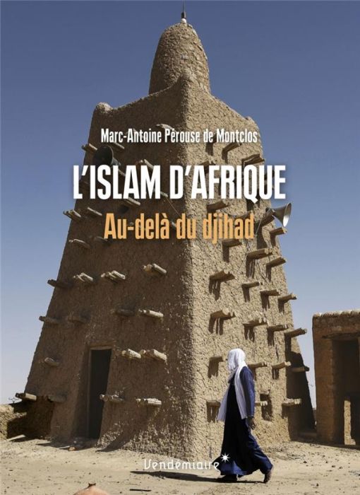 Emprunter L'Islam d'Afrique. Au-delà du djihad livre