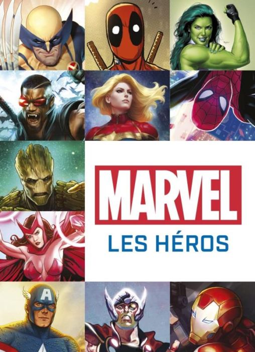 Emprunter Marvel : les héros livre