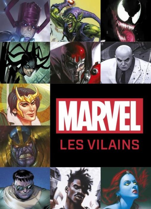 Emprunter Marvel : les Vilains livre