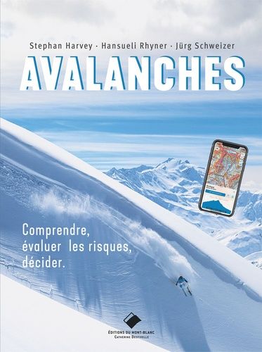 Emprunter Avalanches. Comprendre, évaluer et décider en analysant les risques livre