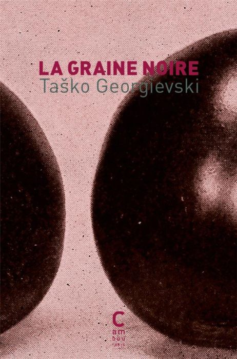 Emprunter La Graine noire livre