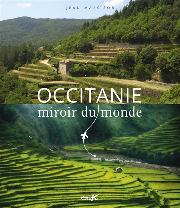 Emprunter Occitanie. Miroir du monde livre