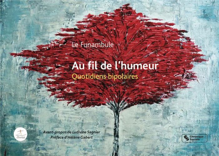 Emprunter AU FIL DE L'HUMEUR - QUOTIDIENS BIPOLAIRES livre