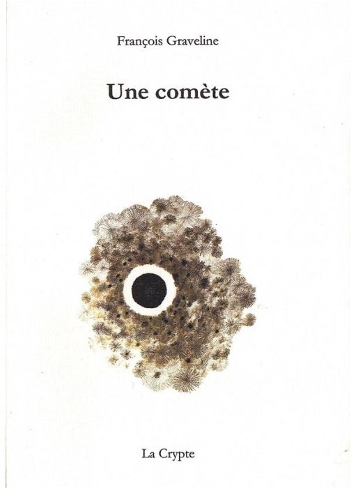 Emprunter Une comète livre