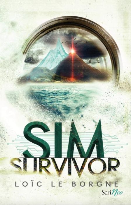 Emprunter Sim survivor livre