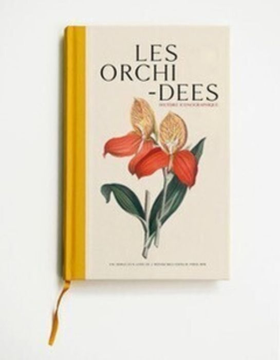 Emprunter Les orchidées. Histoire iconographique livre