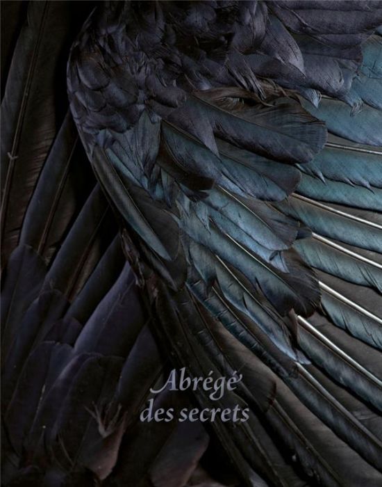 Emprunter ABREGE DES SECRETS livre