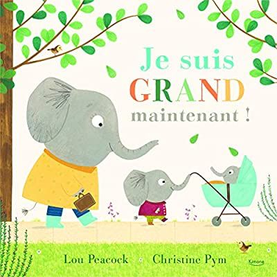 Emprunter Je suis grand maintenant ! livre