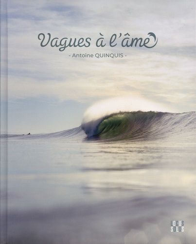 Emprunter Vagues à l'âme livre