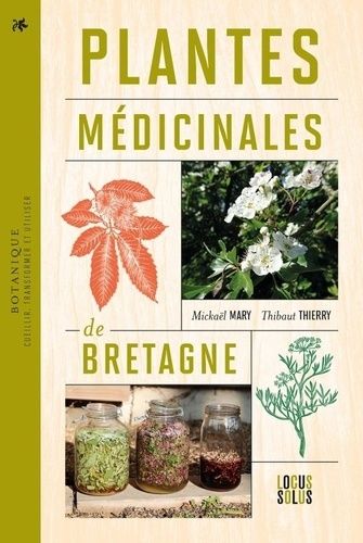 Emprunter Plantes médicinales de Bretagne. Cueillir, transformer et utiliser livre